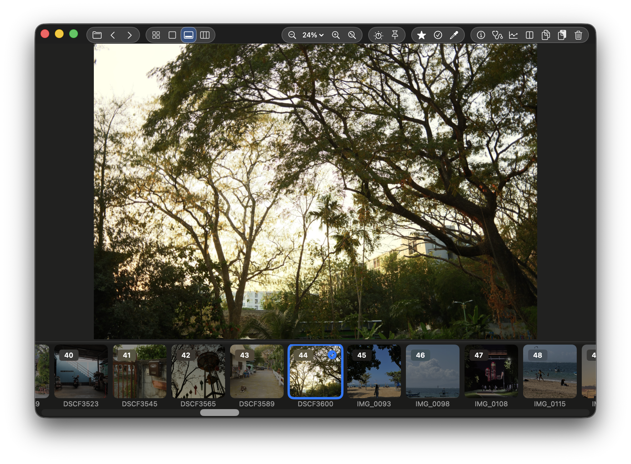 SnapView filmstrip view